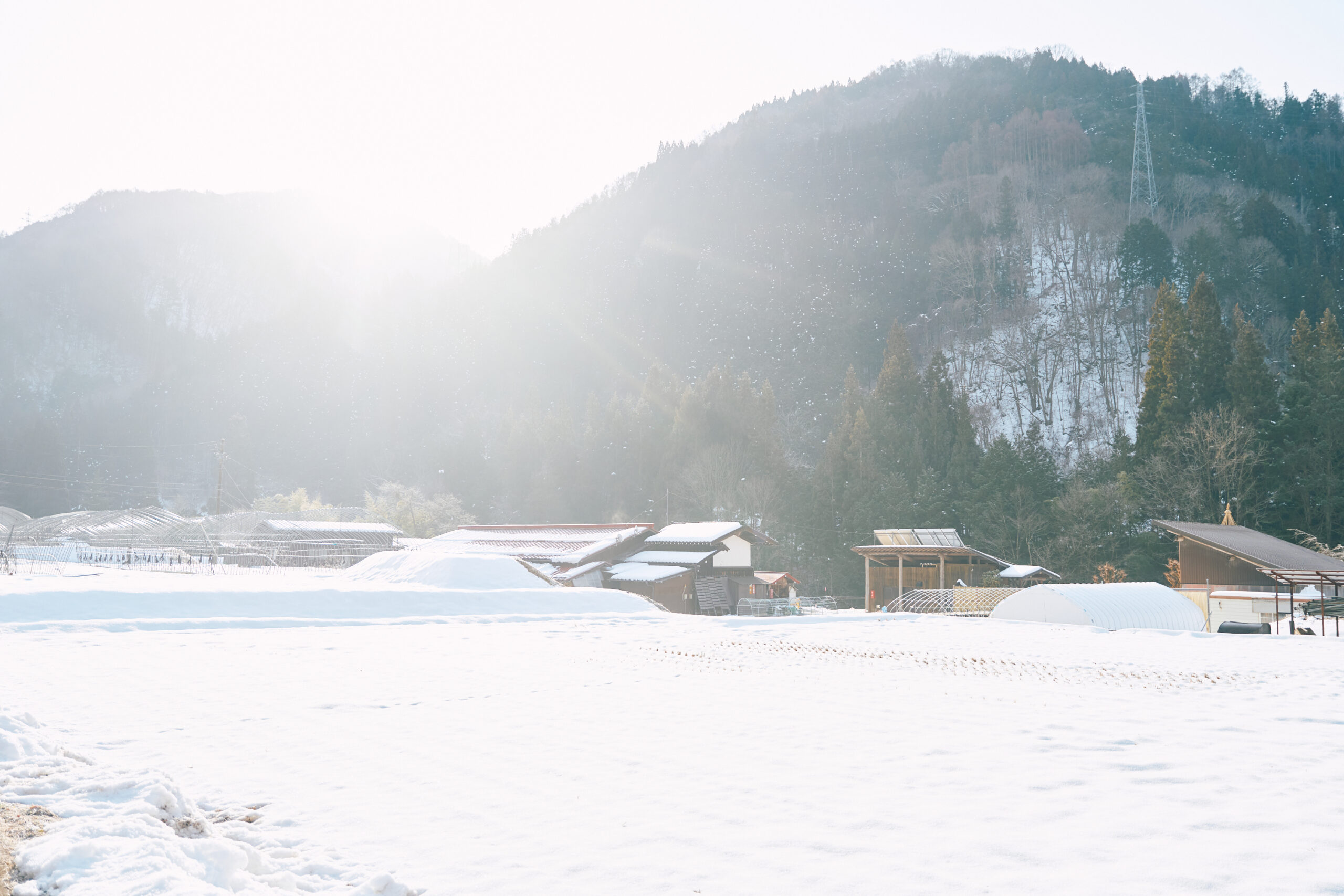Stillness of Winter ーA Private Satoyama Cultural Journeyー