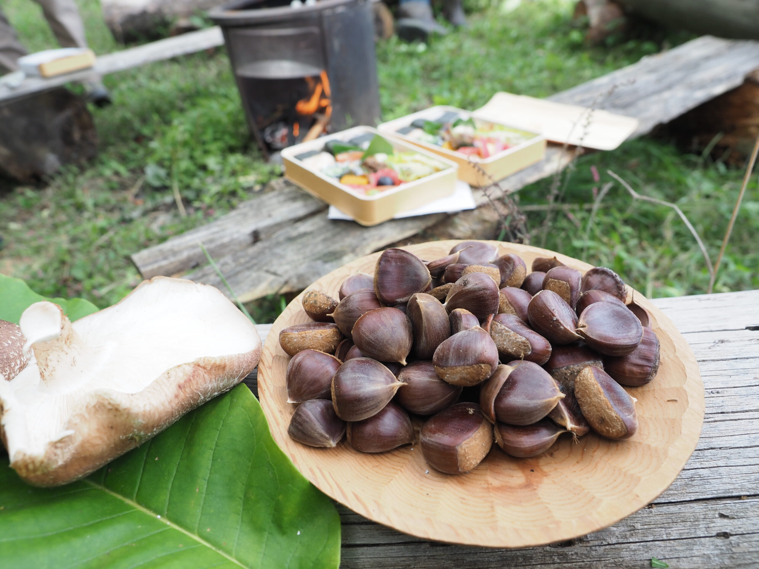 ギャラリー画像