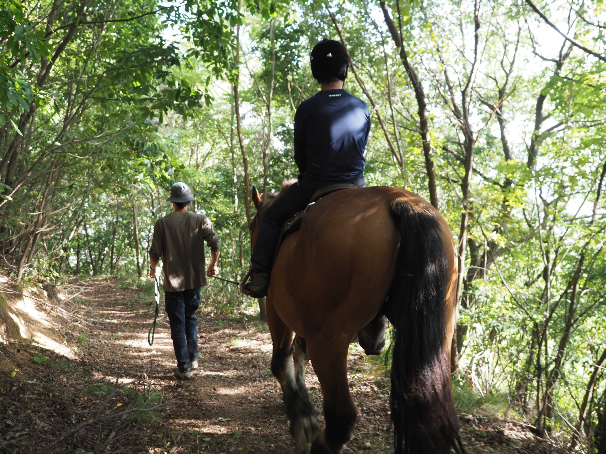 ギャラリー画像