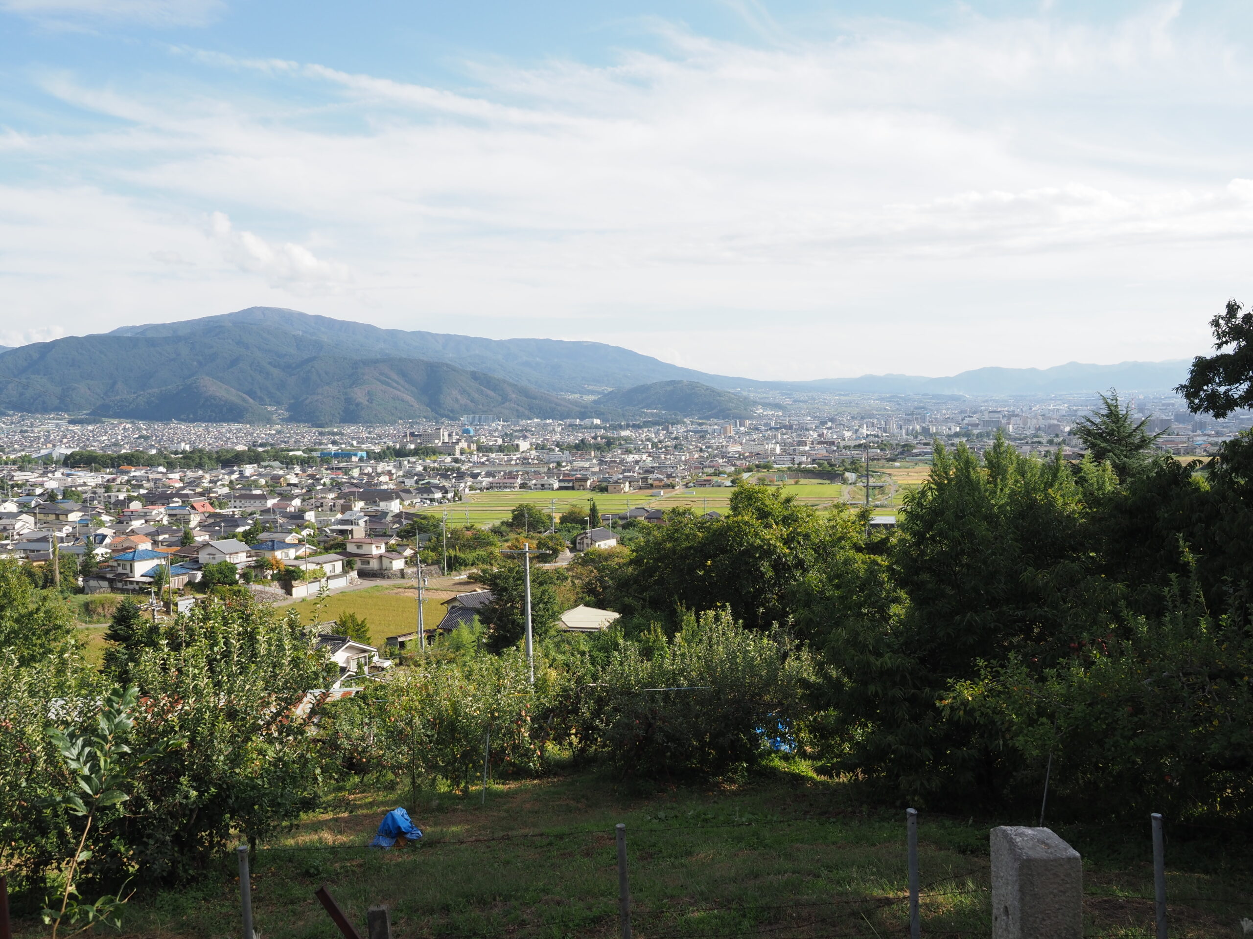 ギャラリー画像