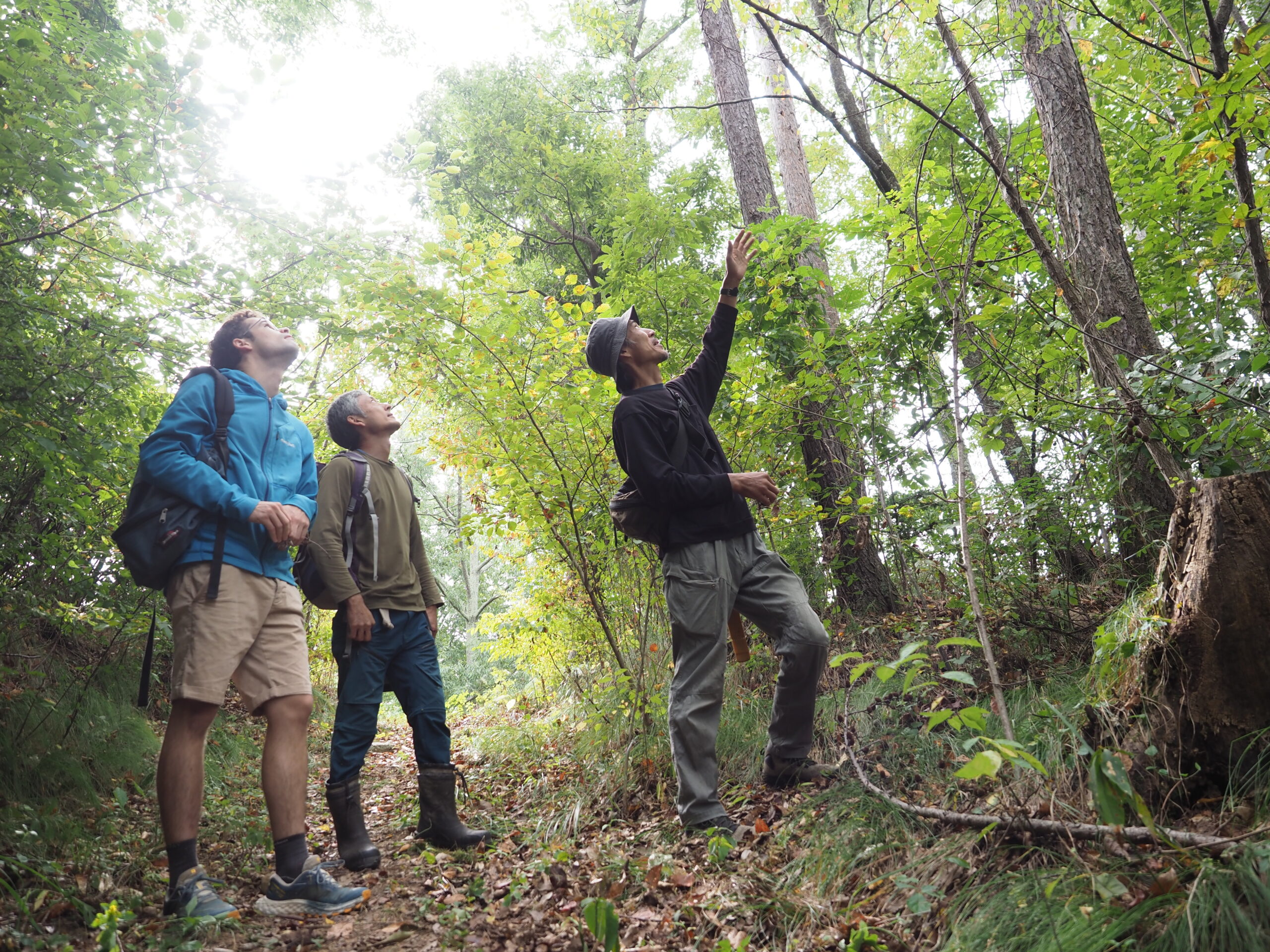 ギャラリー画像