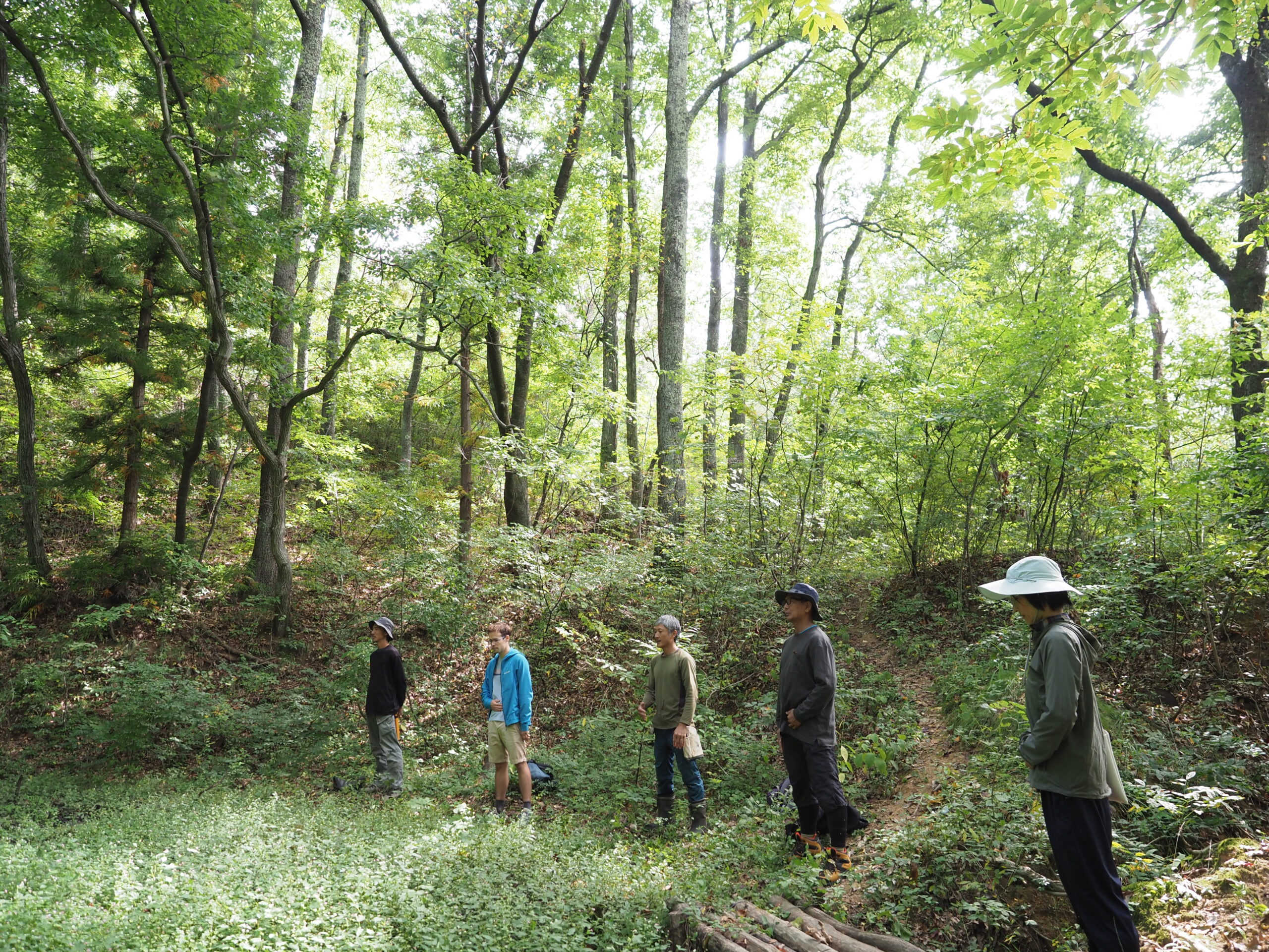 ギャラリー画像