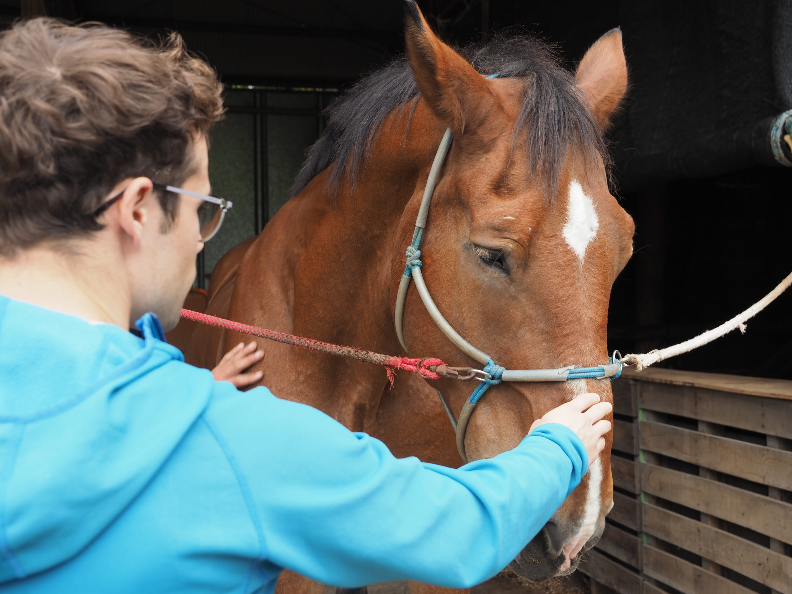 ギャラリー画像