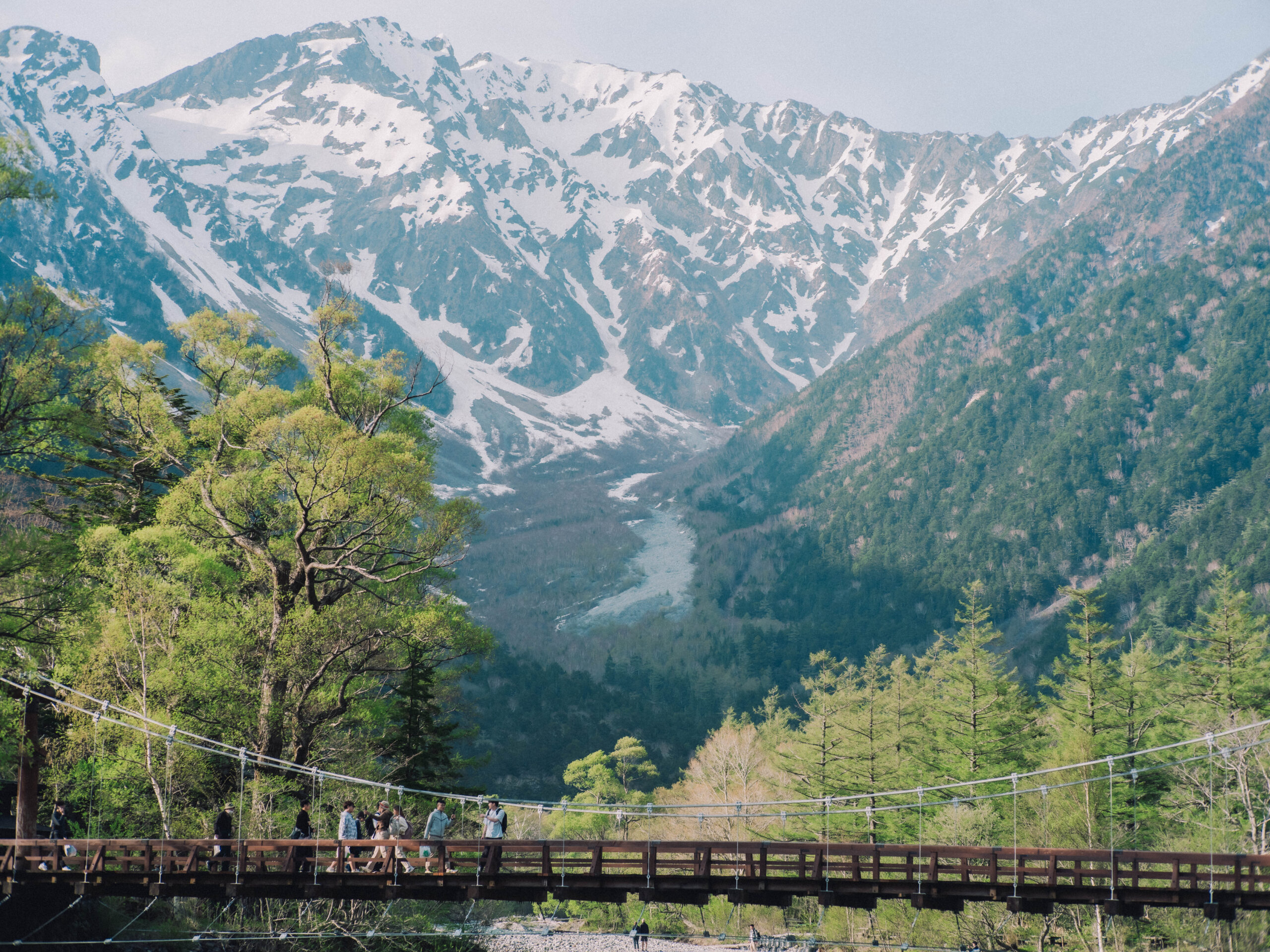 ギャラリー画像