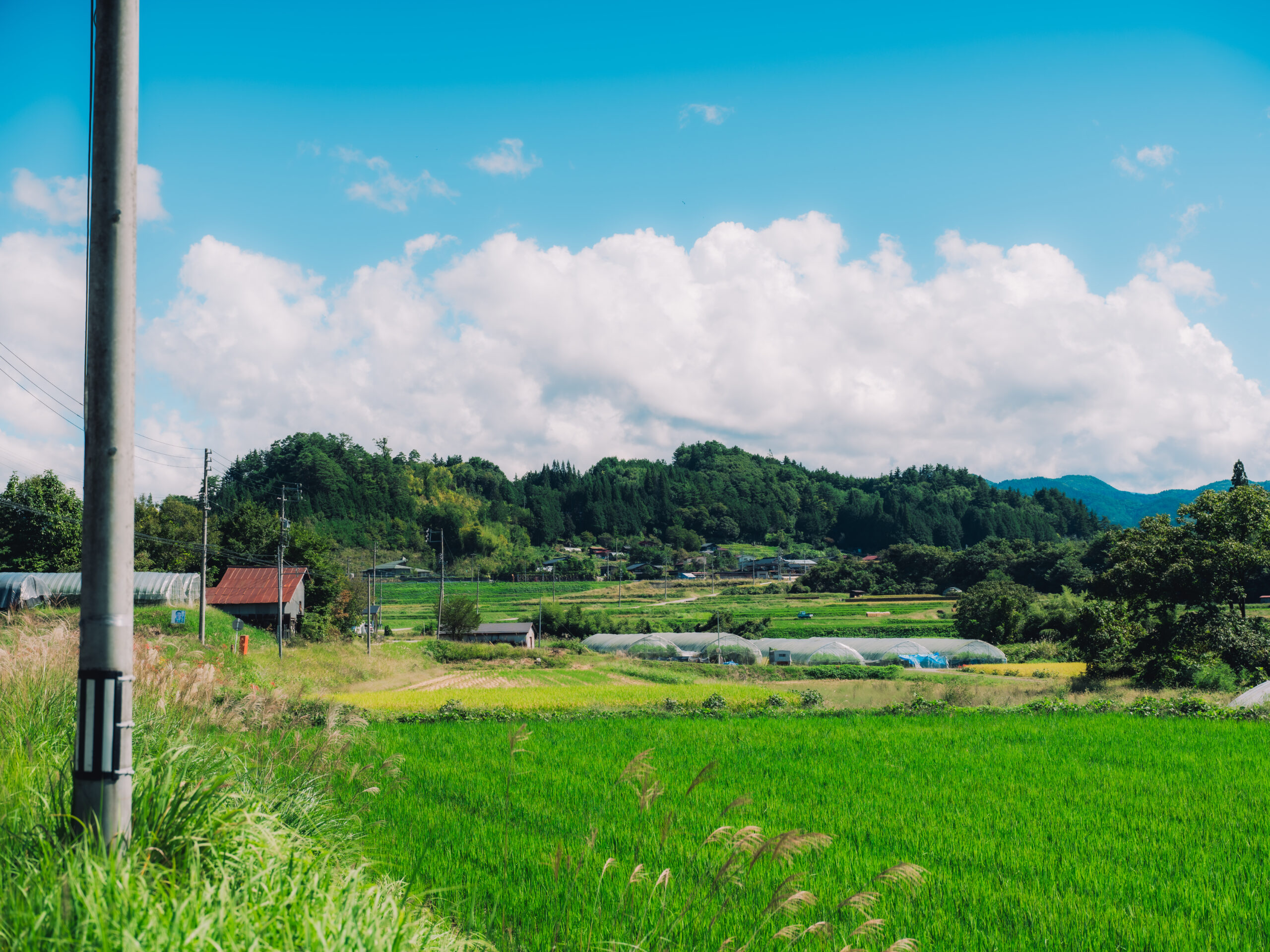 プログラム画像3