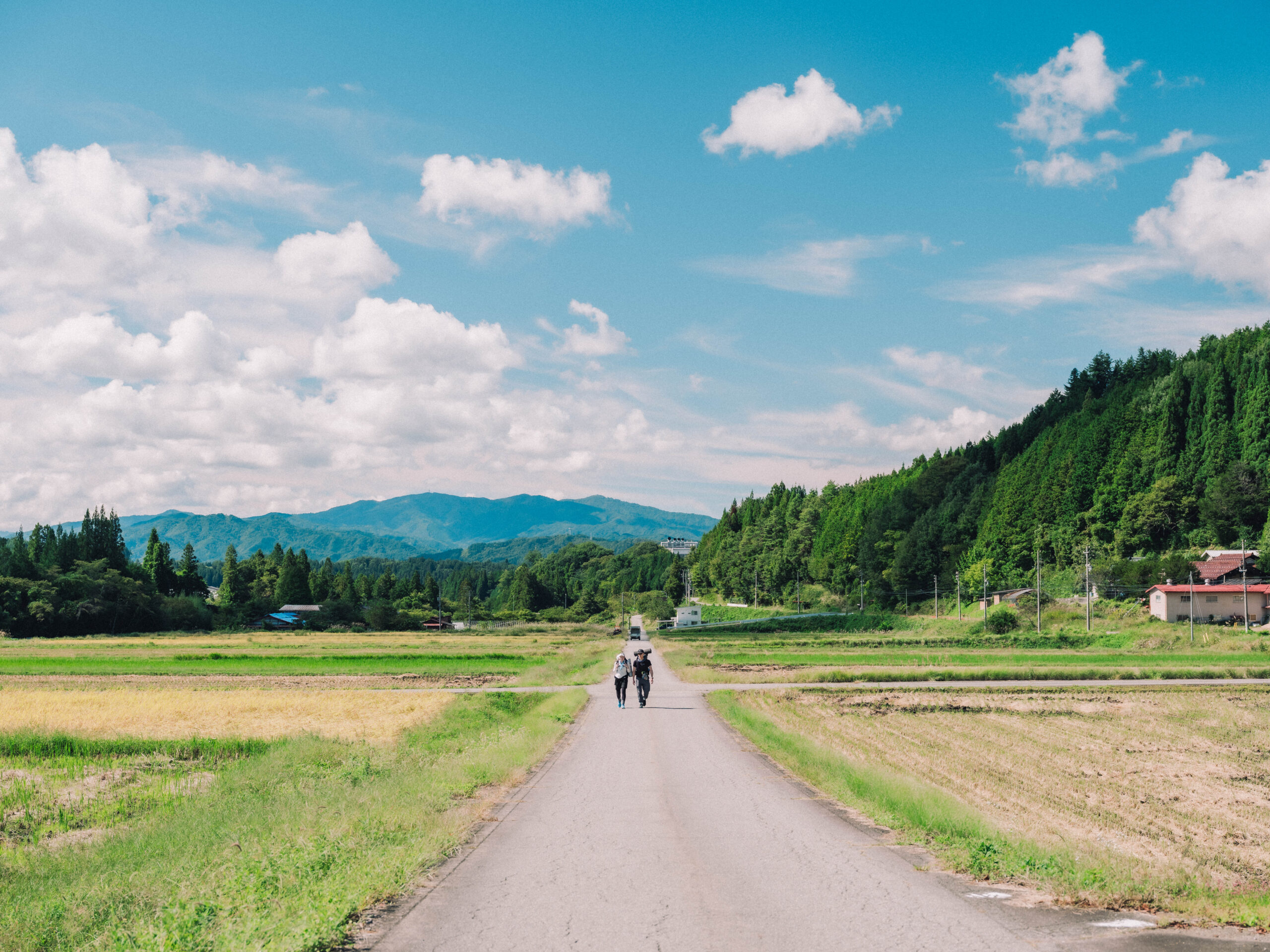 プログラム画像1