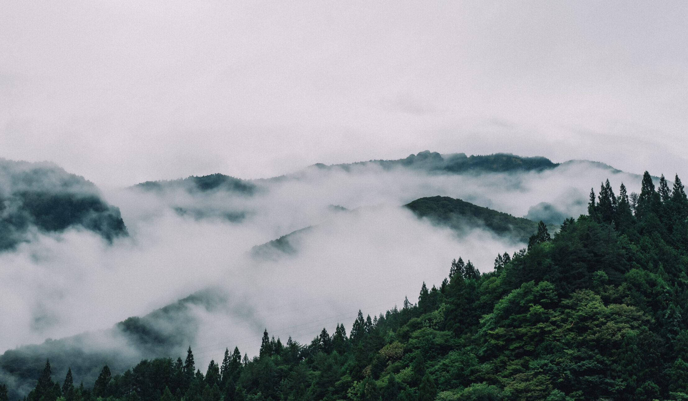 プログラム画像1