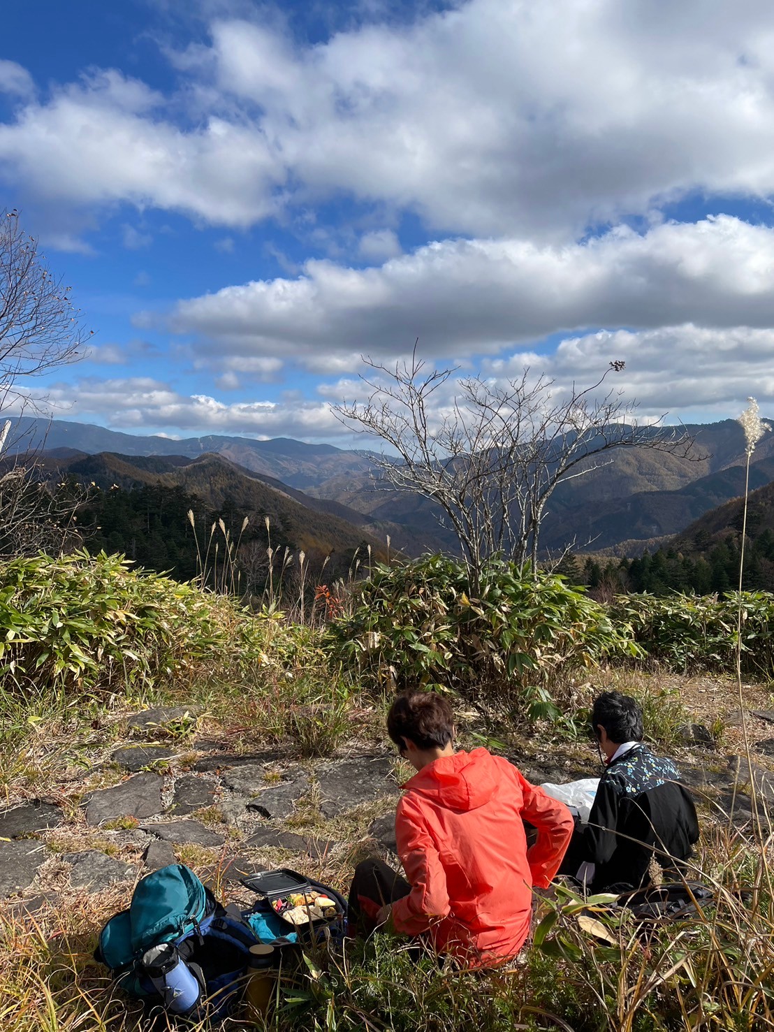 プログラム画像3