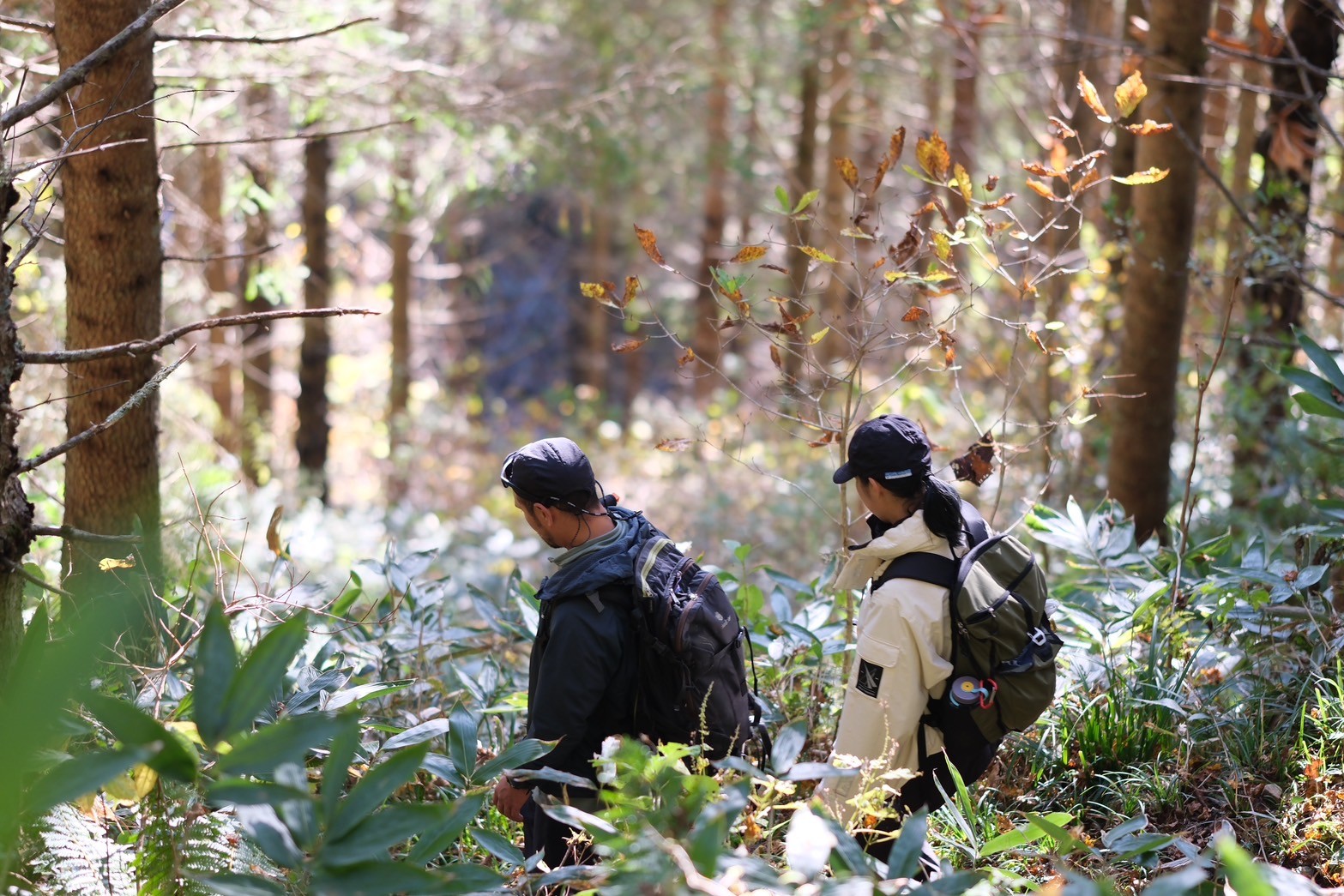 プログラム画像4