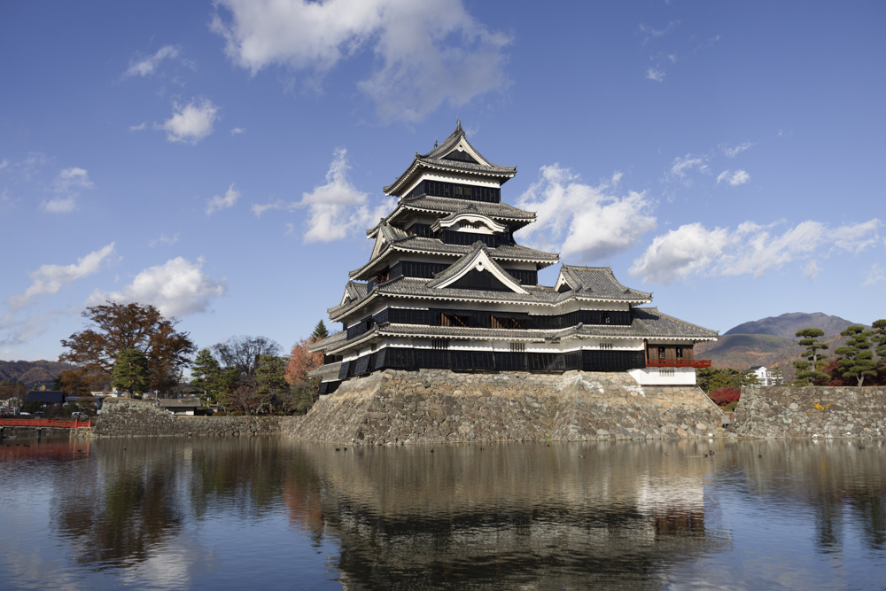 ギャラリー画像