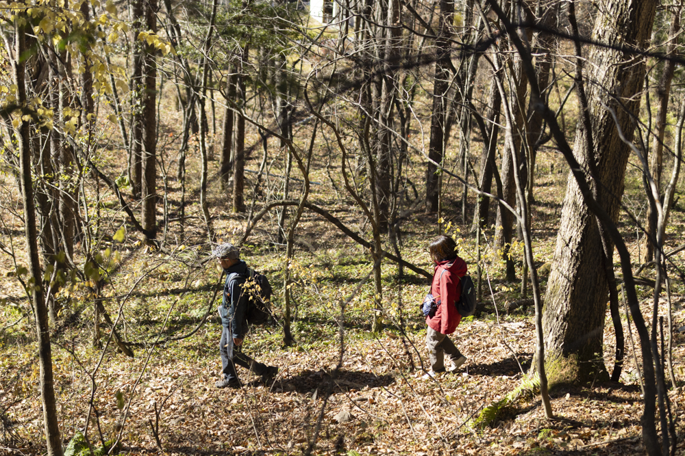 プログラム画像2