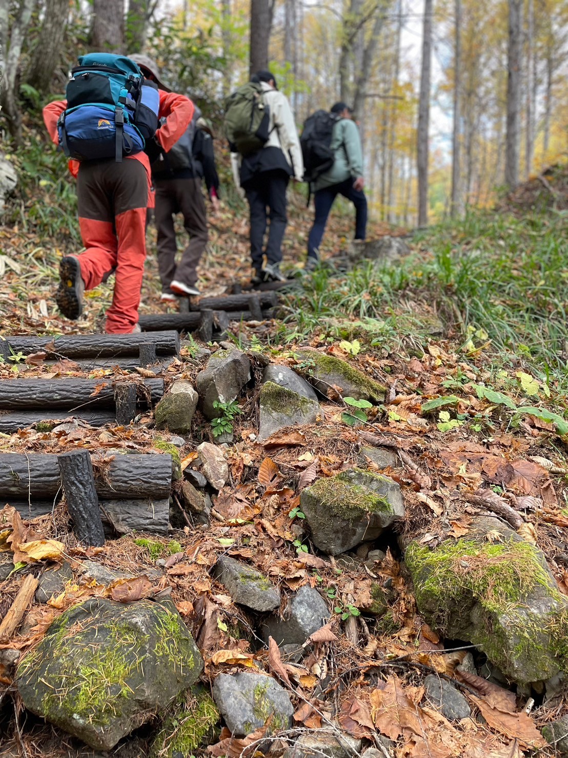 ギャラリー画像