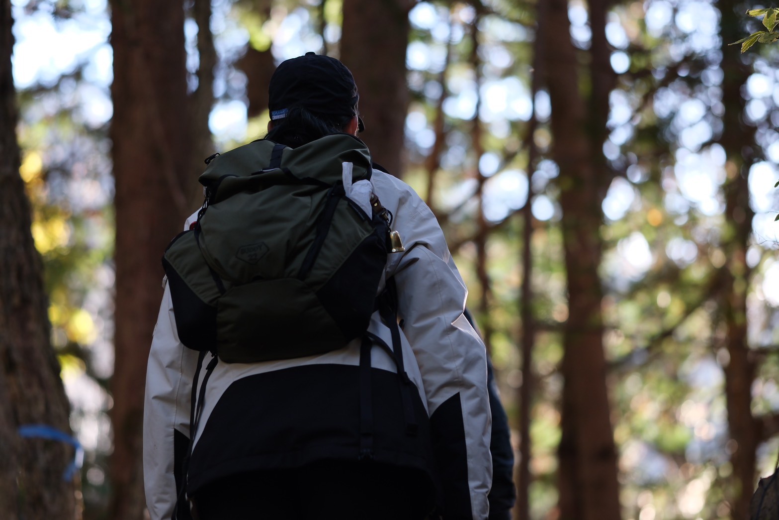 ギャラリー画像