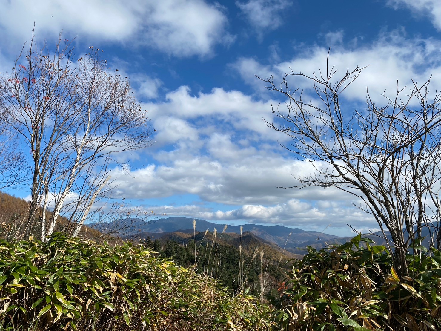 ギャラリー画像